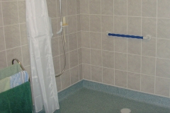 014-wheelchair-friendly-disabled-bathroom-adaptation-2-a