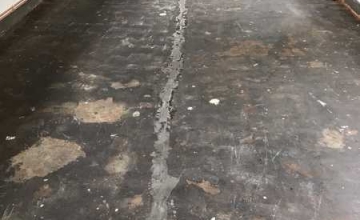 classroom-extension19